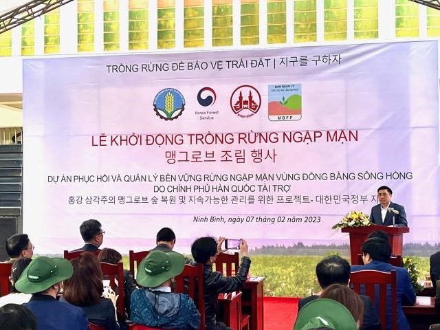 Lễ khởi động trồng rừng trong khuôn khổ dự án phục hồi rừng ngập mặn vùng Đồng bằng sông Hồng