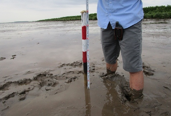 Khảo sát thực địa đợt 1 nhiệm vụ khoa học và công nghệ độc lập cấp quốc gia "Nghiên cứu xây dựng mô hình sinh thái bền vững trên vùng triều ven biển đồng bằng sông Cửu Long"